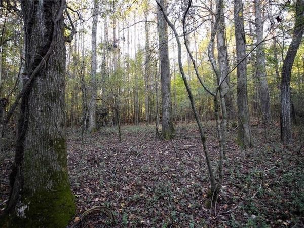 00 Thurman Baccus Road , Social Circle, GA 30025