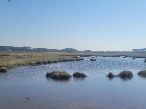27012 JOHNSON CREEK ROAD, CRISFIELD, MD 21817