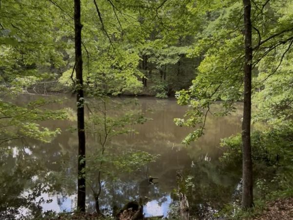 5235 Highway 51 , Hernando, MS 38632