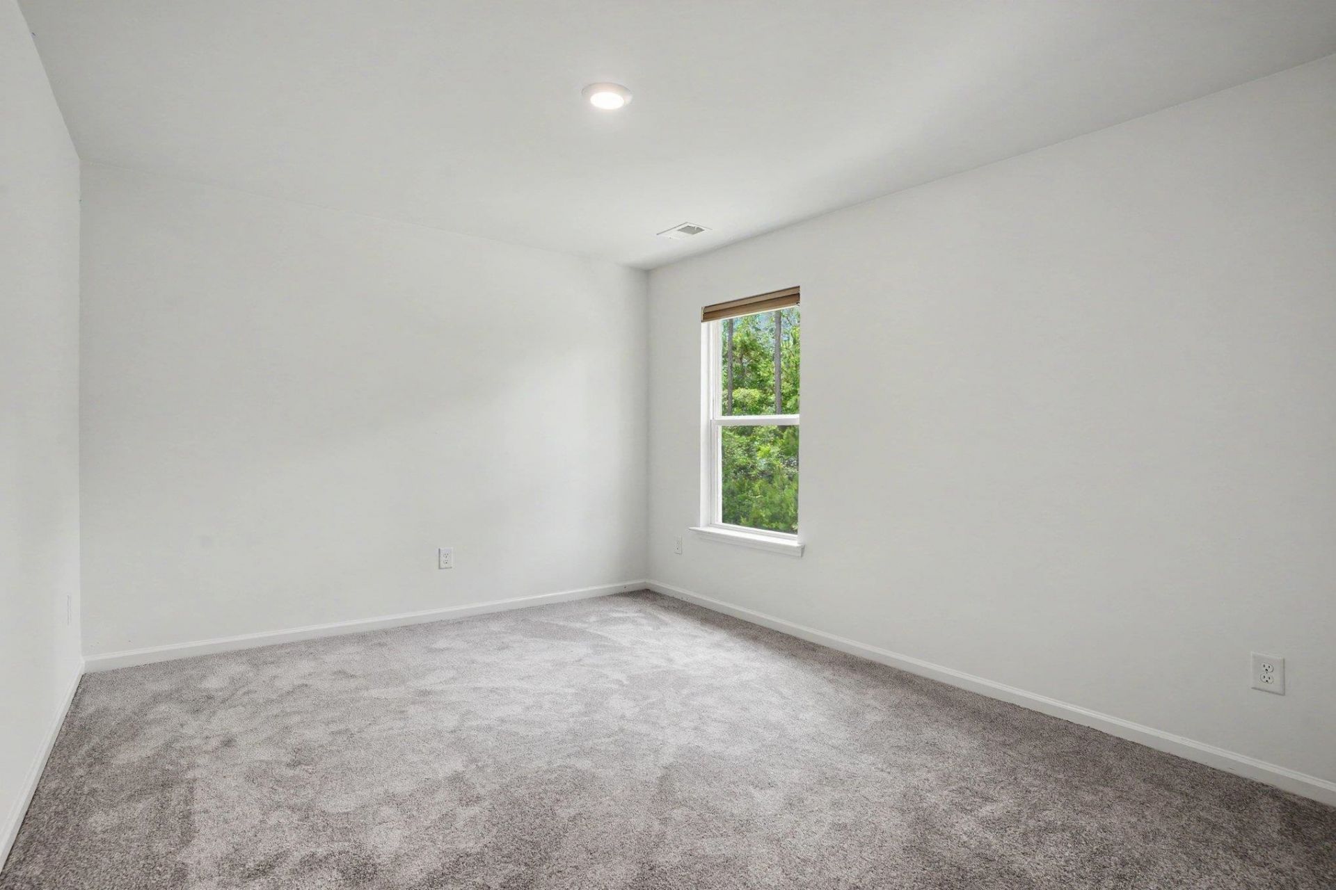 1149 Maxwell Dr. Photo 32
