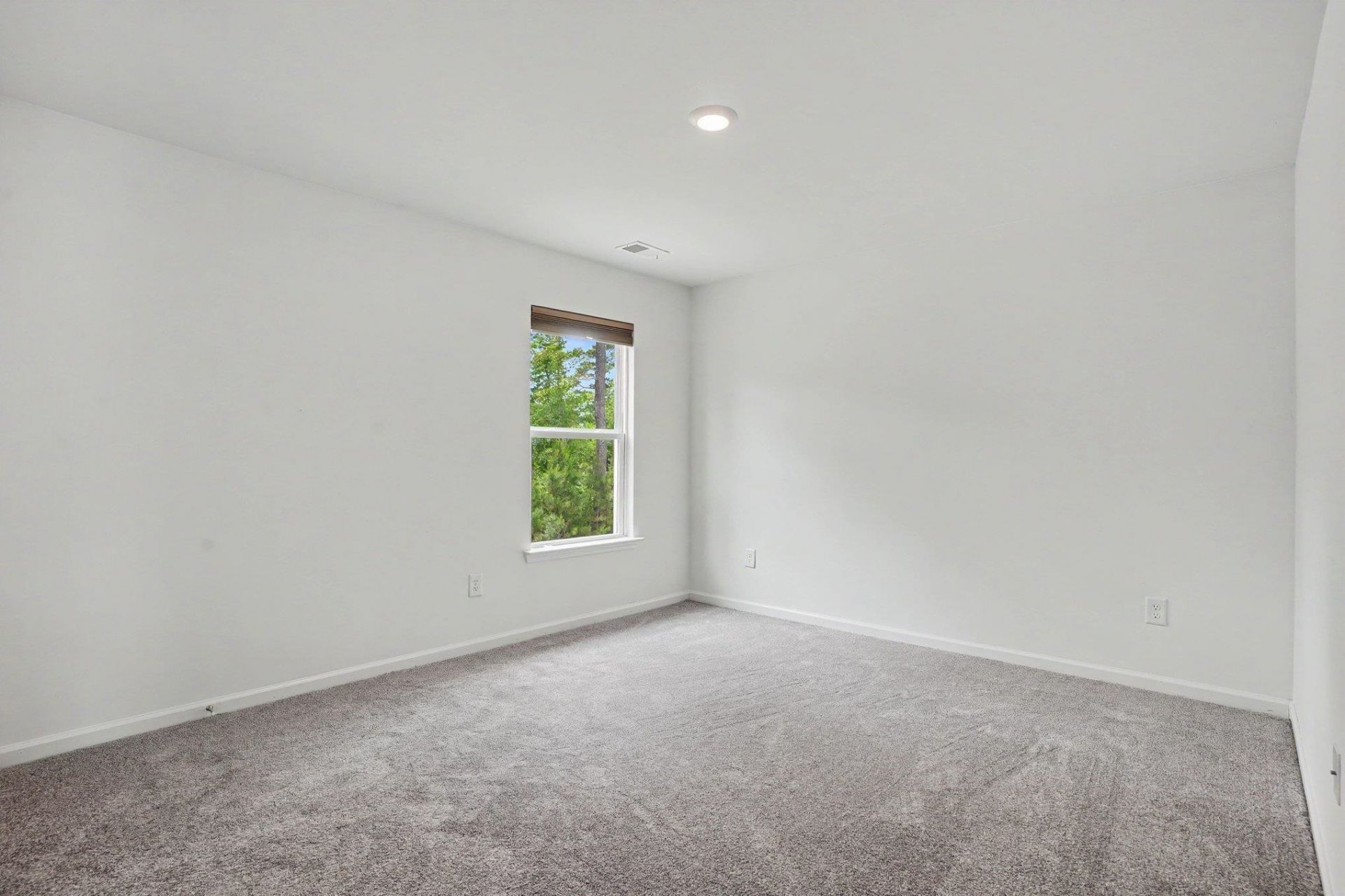 1149 Maxwell Dr. Photo 36
