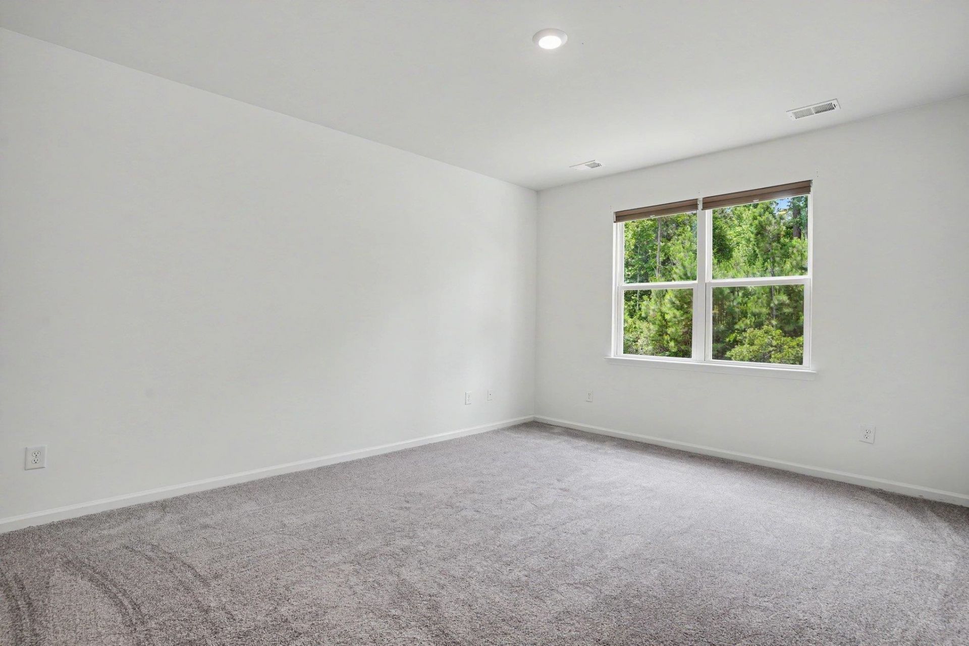 1149 Maxwell Dr. Photo 38