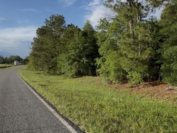 0 Scotland Road, Alamo, GA 30411