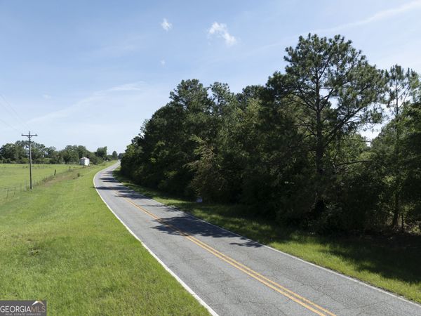 0 Scotland Road, Alamo, GA 30411