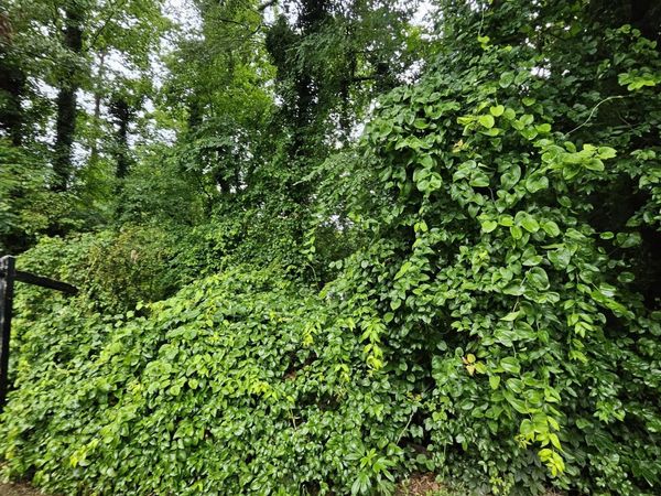3048 Flat Shoals Road, Decatur, GA 30034