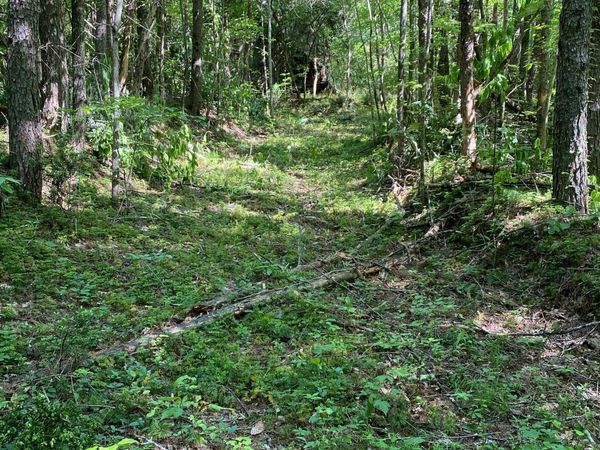 0 Hardman Road, Sautee Nacoochee, GA 30571
