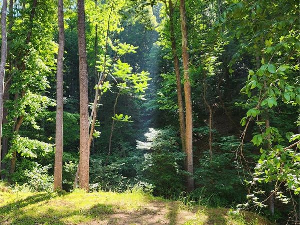 TBD Boone Gap Lane , Taylorsville, NC 28681