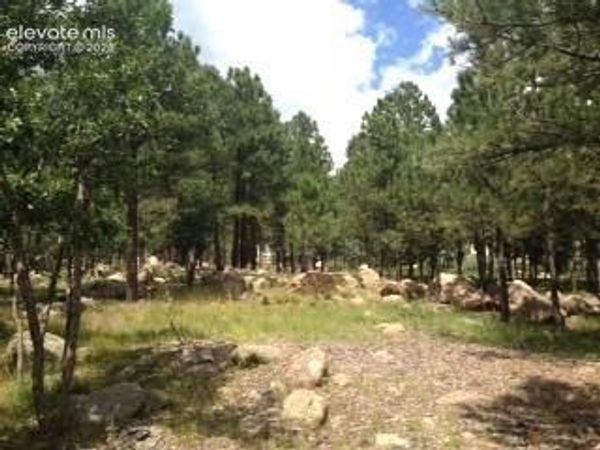 667 Silver Oak Grove, Colorado Springs, CO 80906