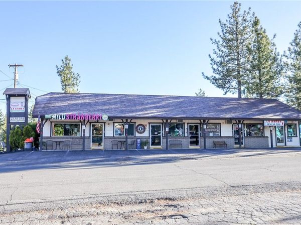 587 Bonanza Trail, Big Bear Lake, CA 92315