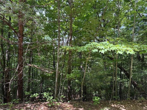 Lot 132A Warren Way , Purlear, NC 28665