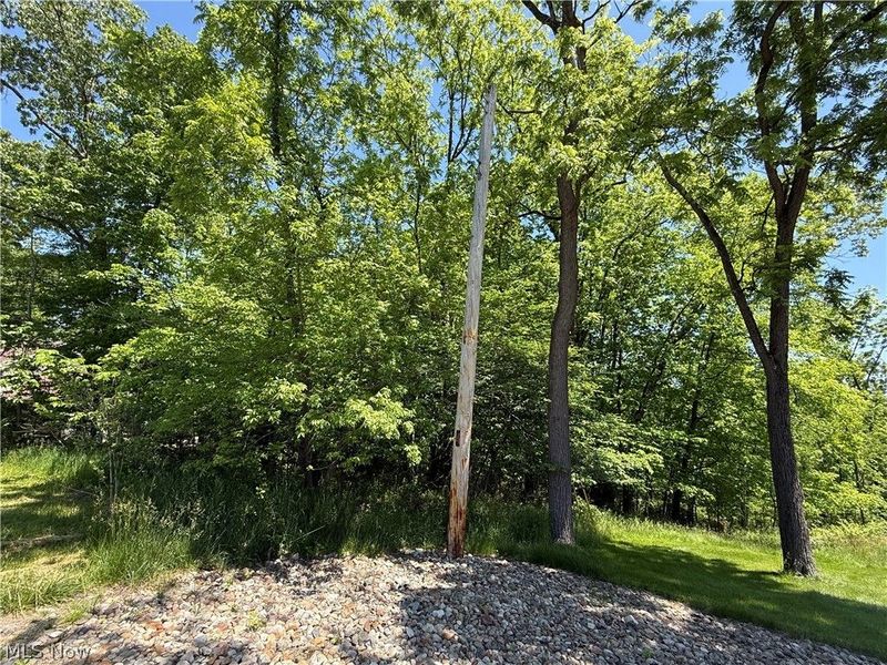 66 Delaware Trail , Malvern, OH 44644 Photo 3