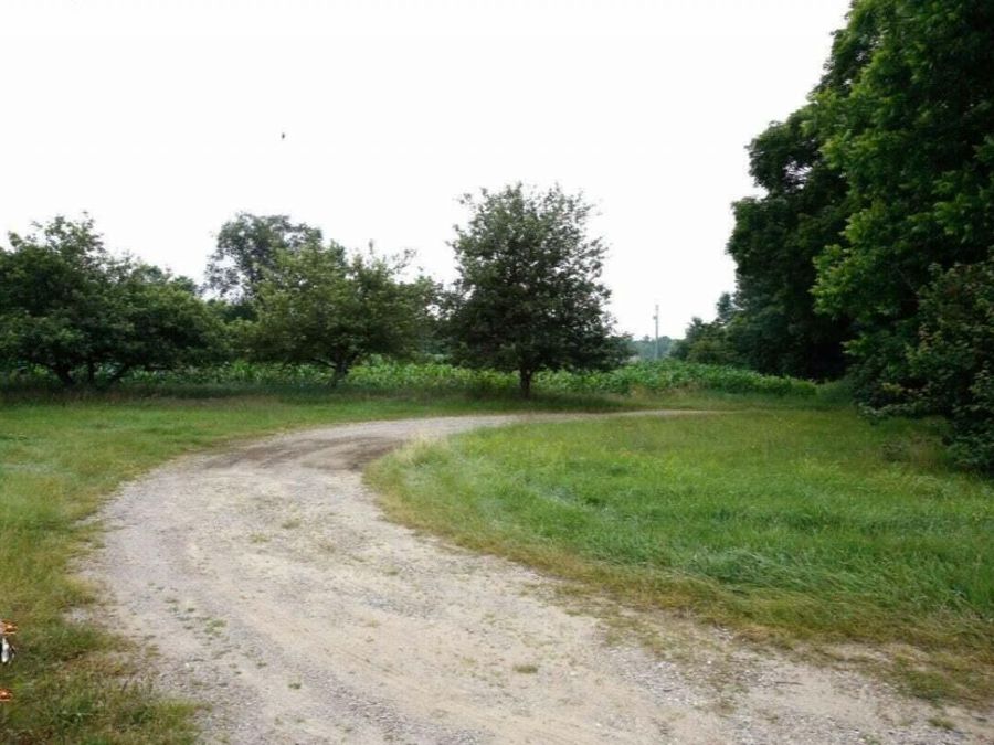 Property Image 6