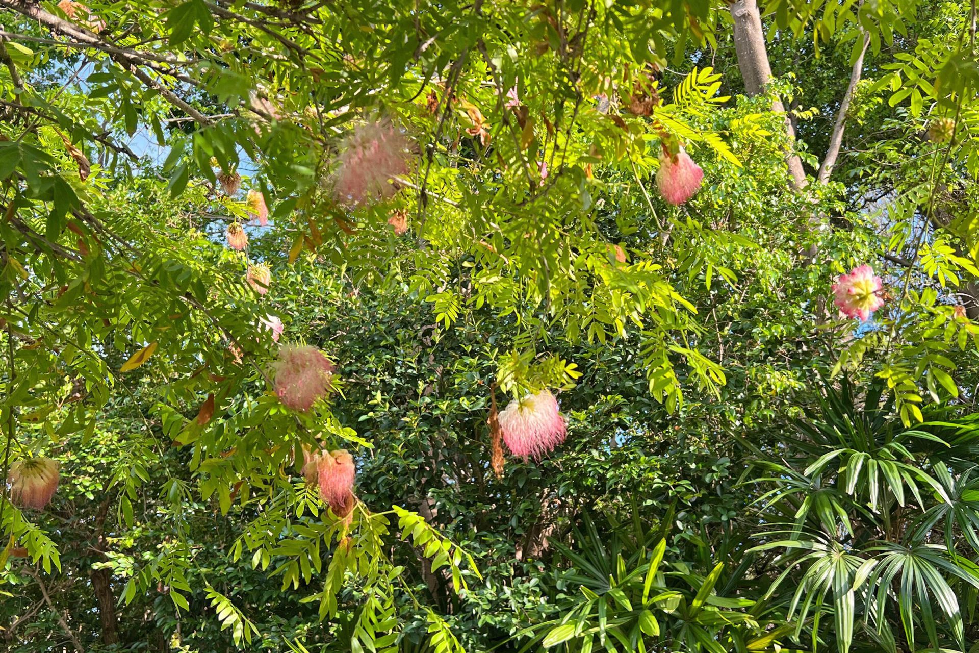 139 Gimpy Gulch Drive, Islamorada, FL 33036 Photo