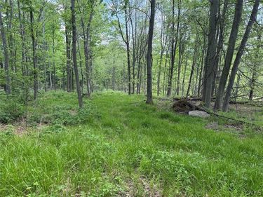 Dye Road , South Dayton, NY 14138