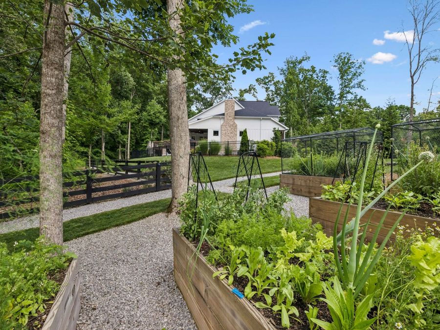Property Image 84