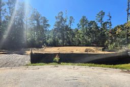 2923 Zachary George Lane photo 4