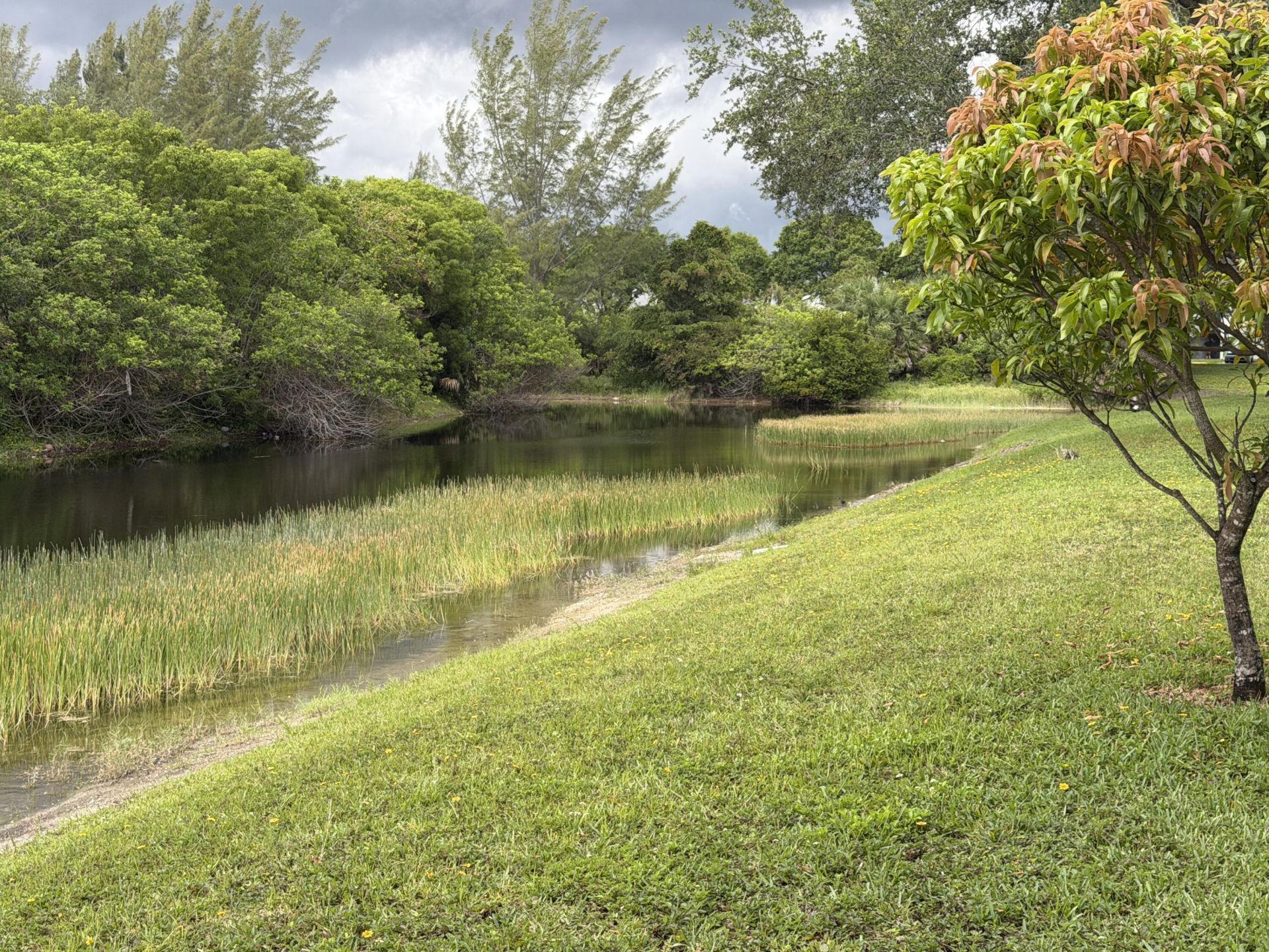 212 Lake Susan Lane, West Palm Beach, FL 33411 Photo