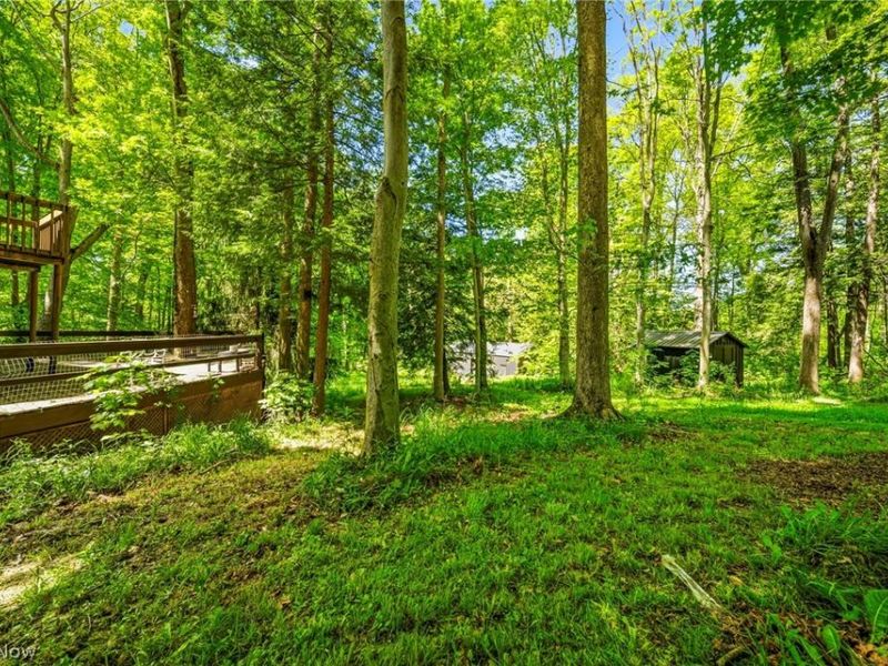 4233 N Forest Ridge Drive , Ashtabula, OH 44004 Photo 10