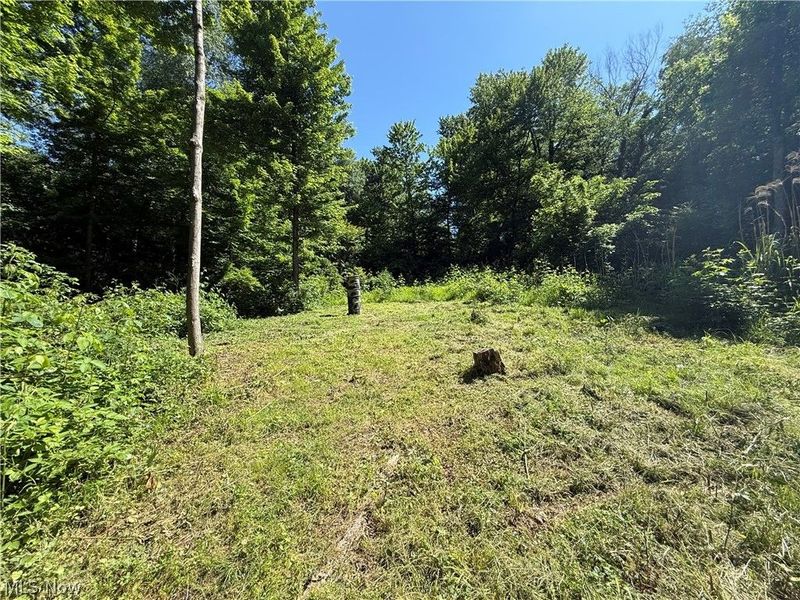 Hydraulic Avenue , Coshocton, OH 43812 Photo 3