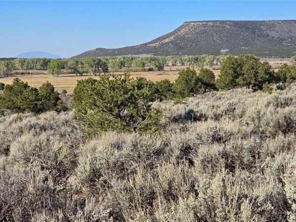 Lot 3714 Hartgrave Road , Fort Garland, CO 81133