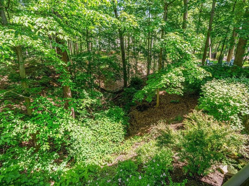 8382 Deep Run, Powell, OH 43065 Photo 80