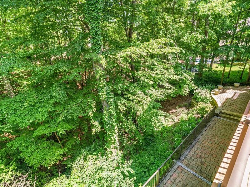 8382 Deep Run, Powell, OH 43065 Photo 83