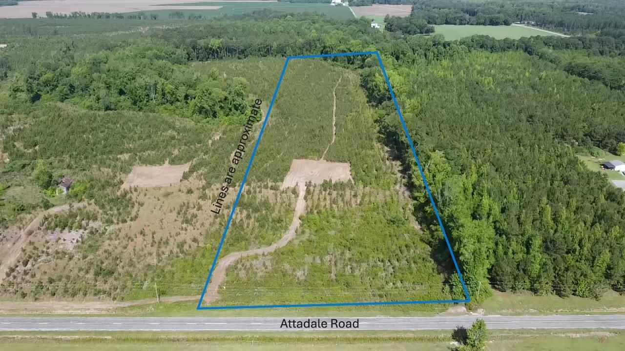 Lot 4 Attadale Rd, Blenheim, SC 29516 Main Photo