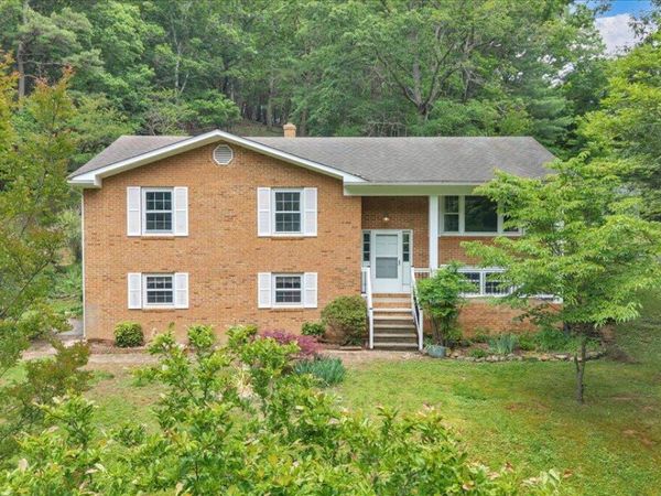 811 Arcadia RD , Buchanan, VA 24066