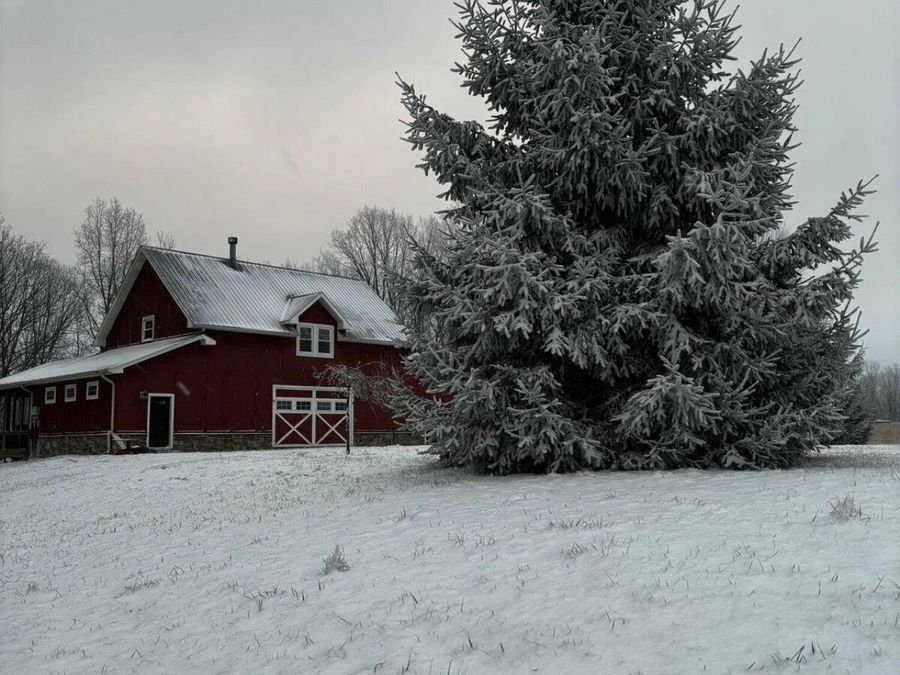 Property Image 47