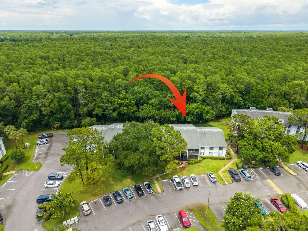 1326 Pine Ridge Circle E, Unit G2, Tarpon Springs, FL 34688 Photo