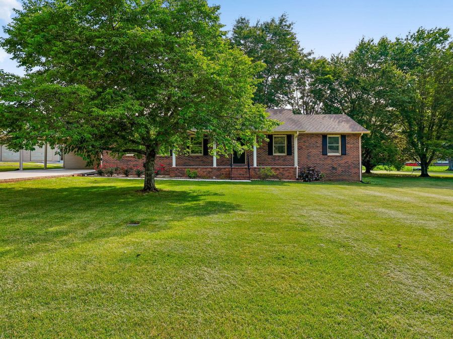 Property Image 83