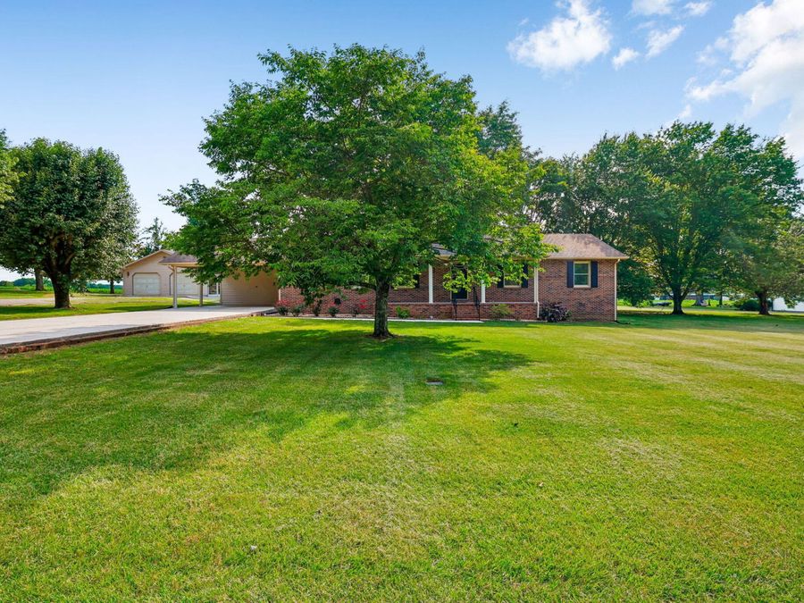 Property Image 85