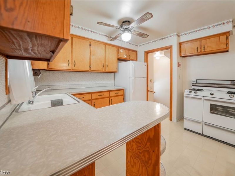 21131 Milan Drive, Euclid, OH 44119 Photo 4