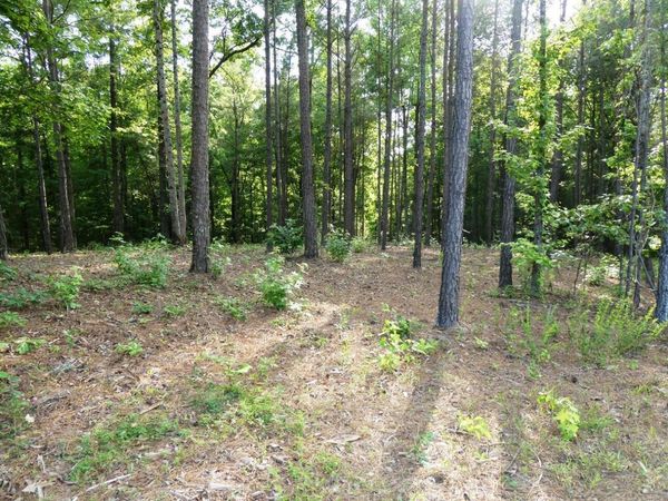 LOT 74 HARBOR LIGHT TRAIL, Jasper, AL 35504