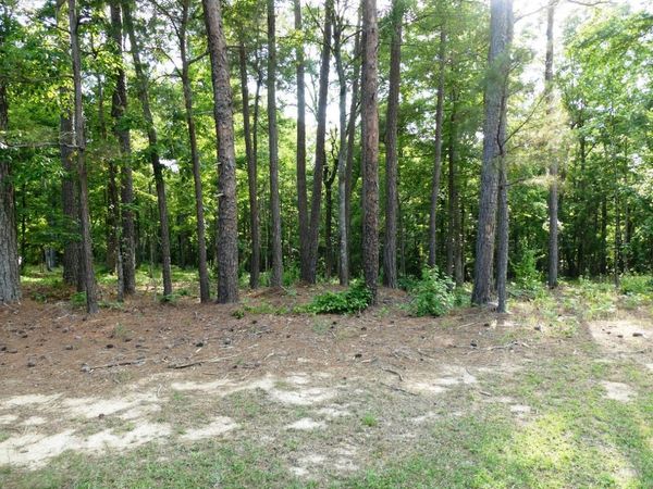 LOT 73 HARBOR LIGHT TRAIL, Jasper, AL 35504