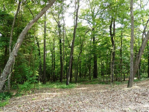 LOT 50 HARBOR LOOP, Jasper, AL 35504