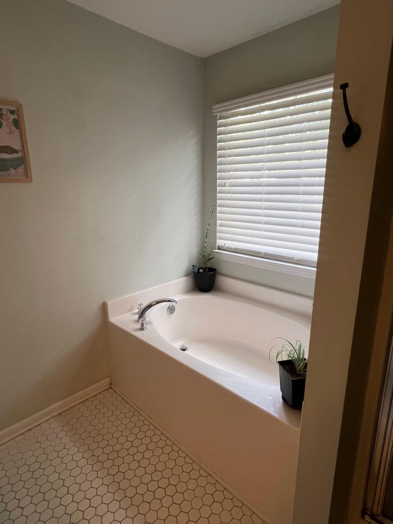 9029 Fieldstone Trace Photo 10
