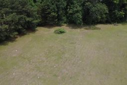 1130 Betaw Road photo 4