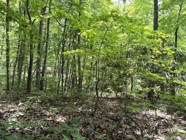 0 Swan Saddle, Sevierville, TN 37876