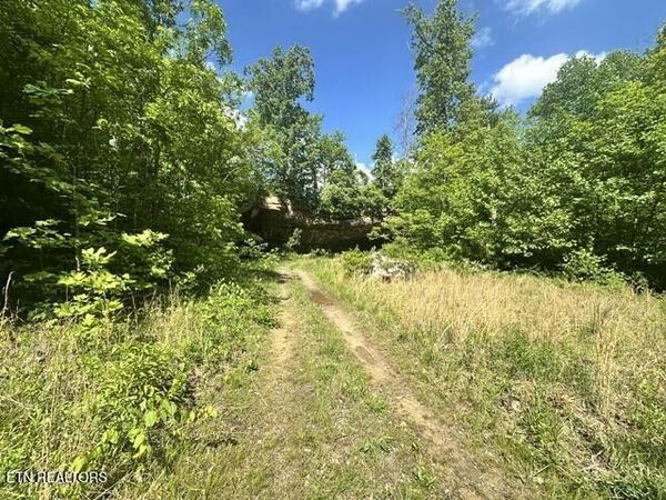 0 Bear Knob Lane , Crawford, TN 38554