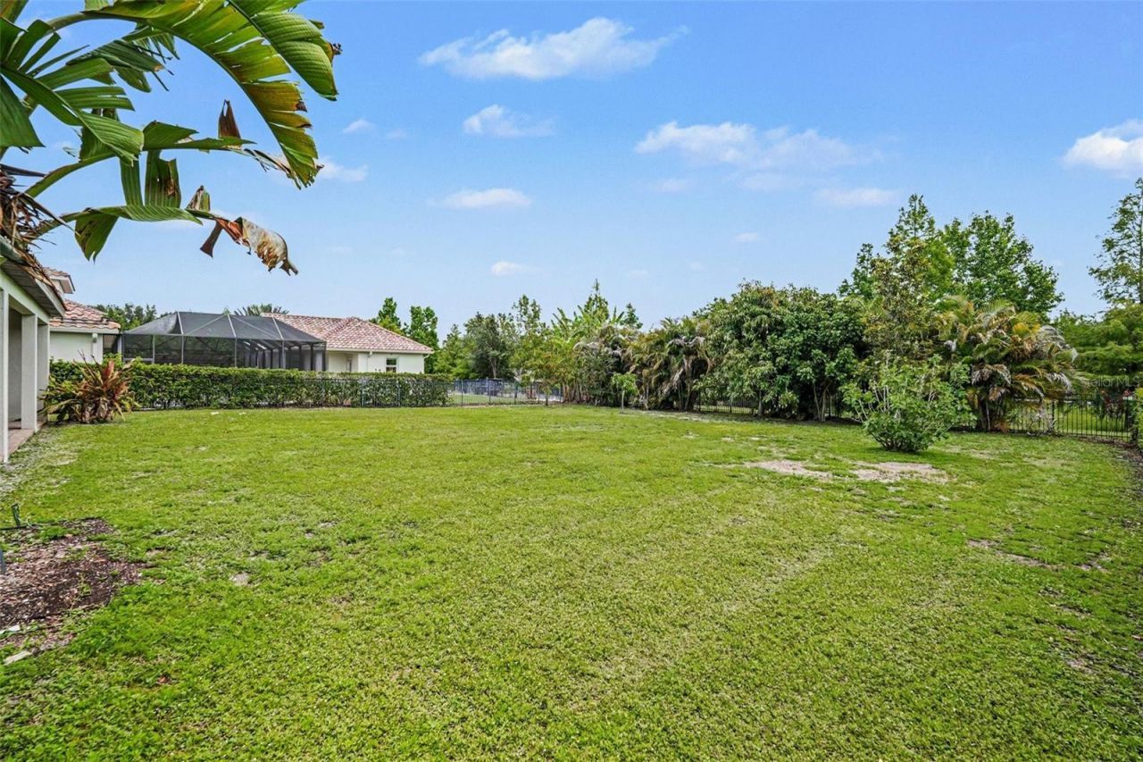 14903 Old Tom Morris Court, Tampa, FL 33626 Photo