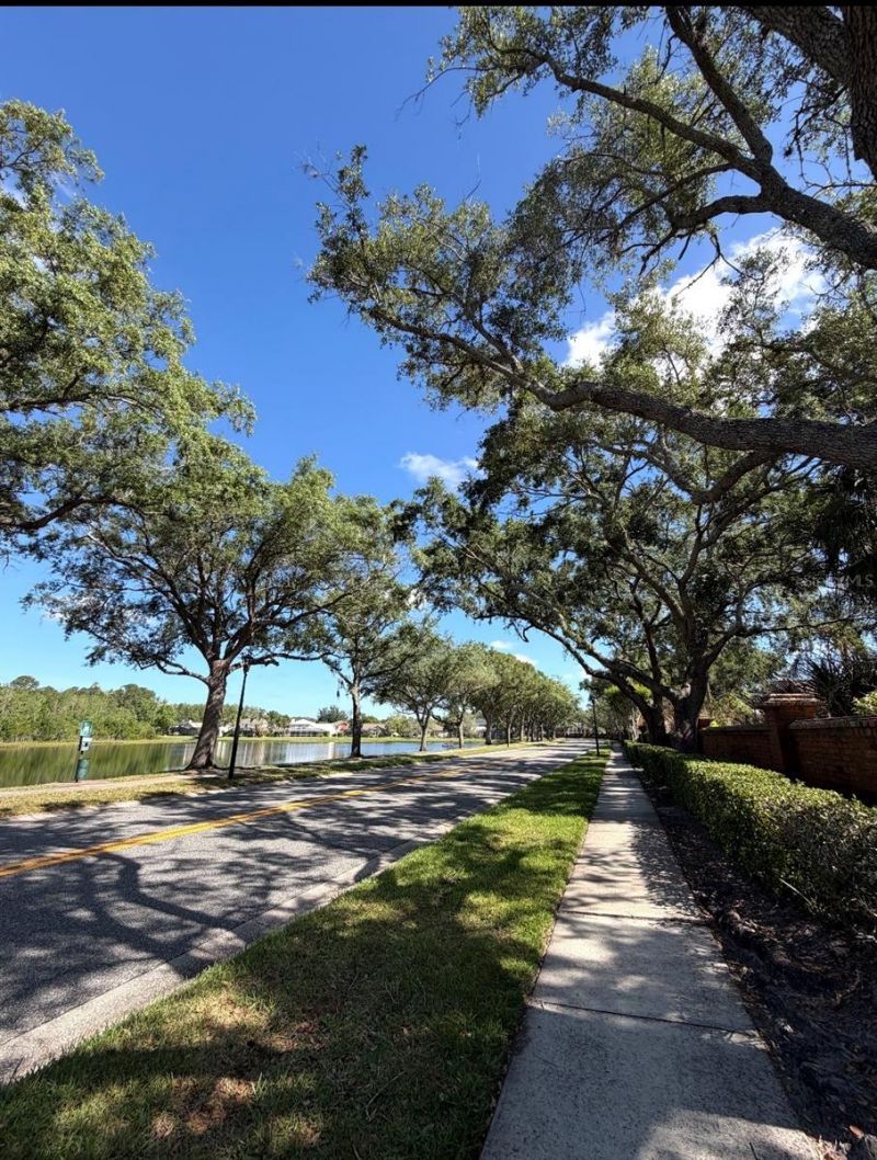 14569 Gainesborough Drive, Orlando, FL 32826 Photo