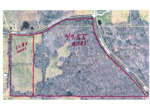 00 Big Creek Church Road , Dongola, IL 62926