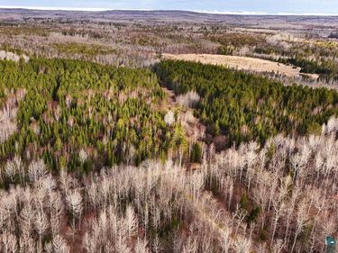 64xx Bergquist Road , Duluth, MN 55804