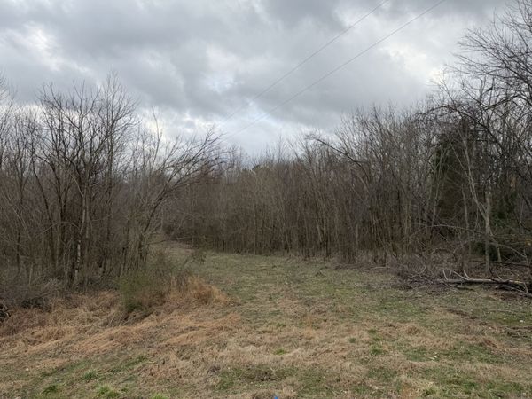 0 City Park Rd , Westmoreland, TN 37186