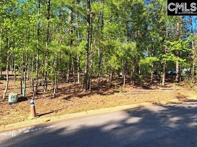 512 Links Pointe Court , Chapin, SC 29036