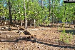 512 Links Pointe Court  photo 4