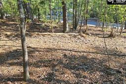 512 Links Pointe Court  photo 4