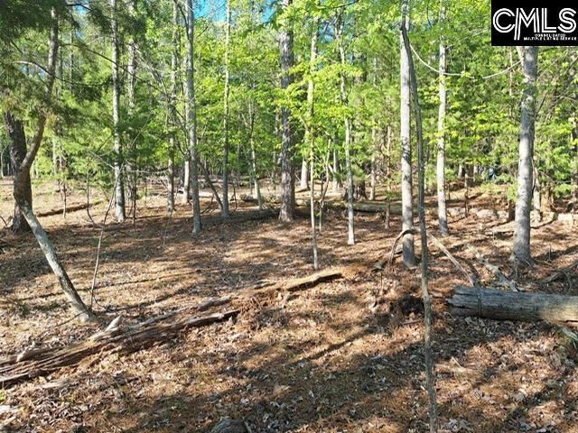 512 Links Pointe Court  Photo 4