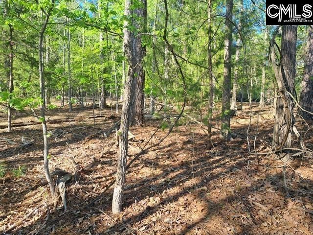 512 Links Pointe Court  Photo 6